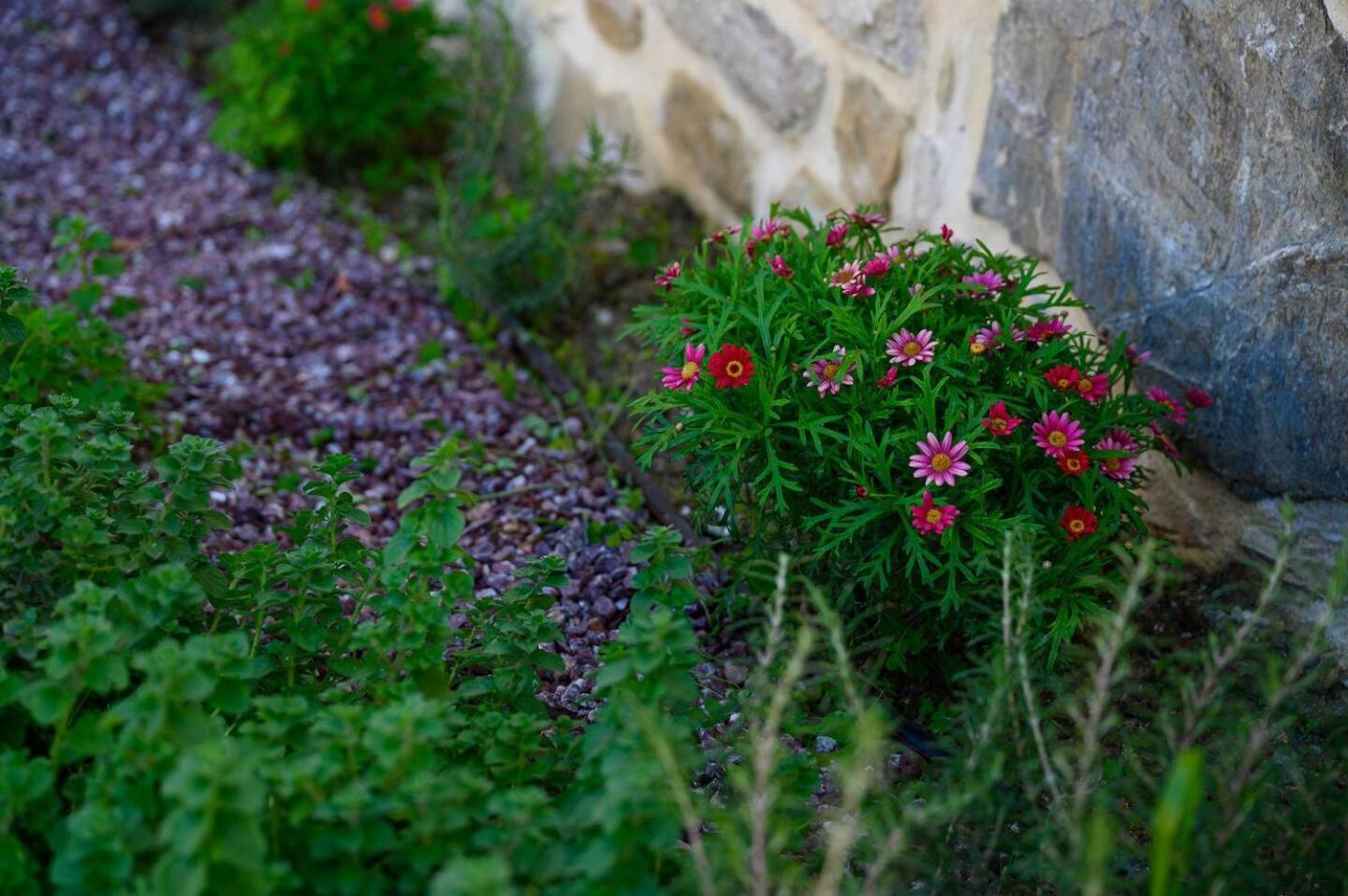 Physis Country House Near Matala Beach & Faistos Kouses Exterior foto